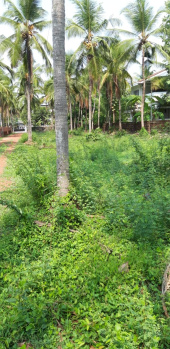  Residential Plot for Sale in Alathur, Palakkad