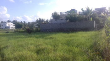  Agricultural Land for Sale in Alathur, Palakkad