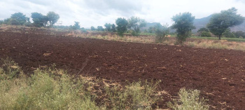  Residential Plot for Sale in Chandranagar, Palakkad