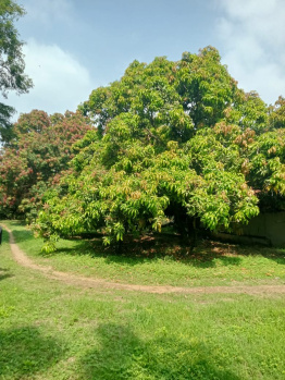  Residential Plot for Sale in Vadakkencherry, Palakkad