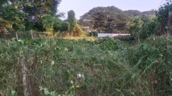 Agricultural Land for Sale in Kadampazhipuram, Palakkad
