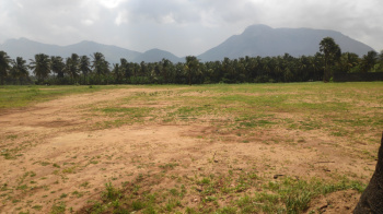  Residential Plot for Sale in Chandranagar, Palakkad