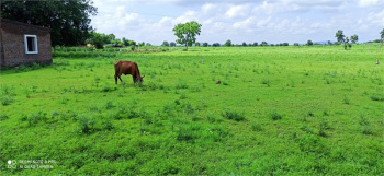  Residential Plot for Sale in Kulappully, Palakkad