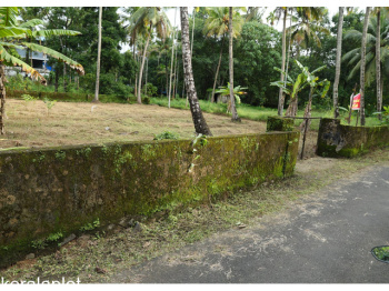  Residential Plot for Sale in Vadakkencherry, Palakkad