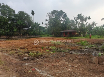  Residential Plot for Sale in Vadakkencherry, Palakkad