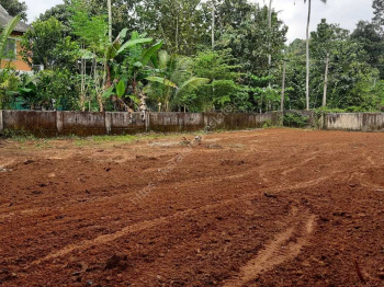 Residential Plot for Sale in Vadakkencherry, Palakkad