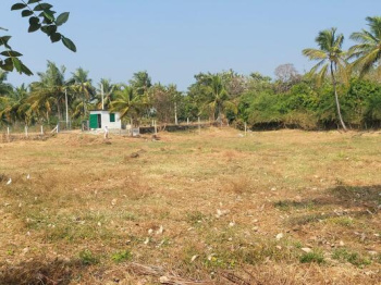  Residential Plot for Sale in Ramanathapuram, Palakkad