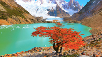  Residential Plot for Sale in Horamavu Agara, Bangalore