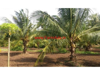  Agricultural Land for Sale in Kozhinjampara, Palakkad