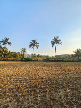  Residential Plot for Sale in Kannanur, Palakkad