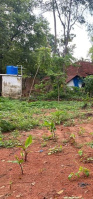  Residential Plot for Sale in Puthur, Palakkad