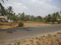  Residential Plot for Sale in Kottayi, Palakkad