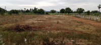  Residential Plot for Sale in Alanganallur, Madurai