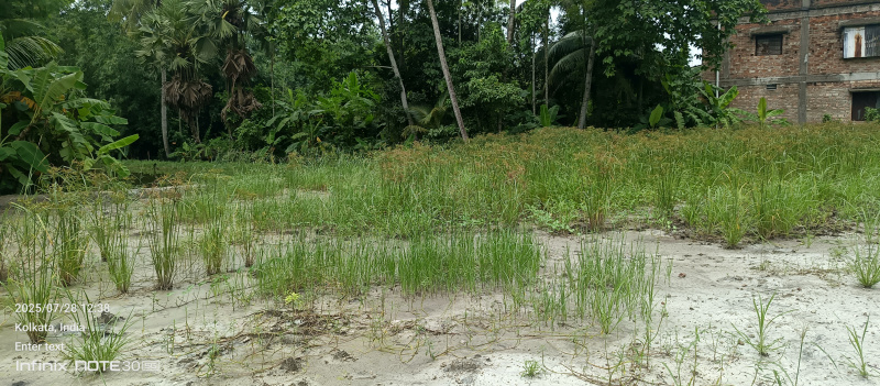  Industrial Land 45000 Sq.ft. for Rent in Boral Main Road, Kolkata
