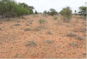  Residential Plot for Rent in Wagholi, Pune