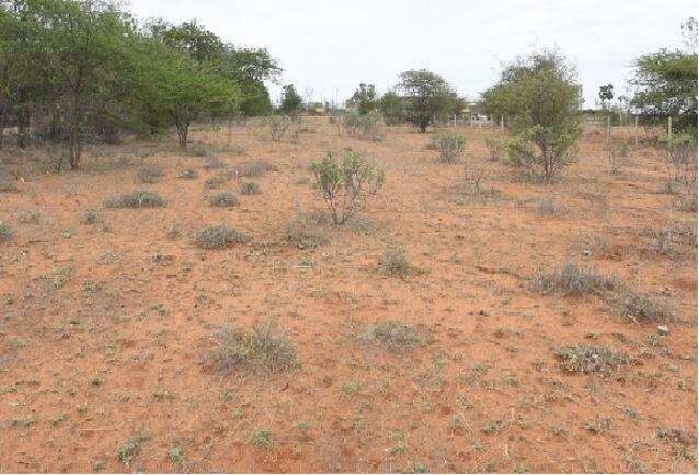 Residential Plot 1000 Sq.ft. for Rent in Wagholi, Pune