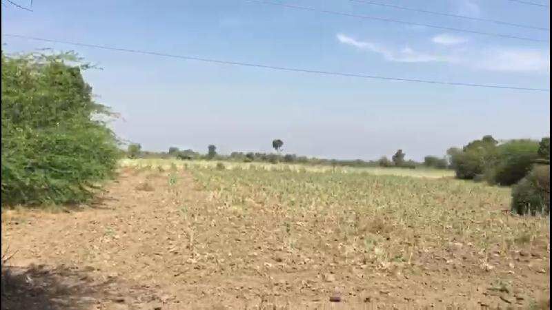  Industrial Land 605 Bigha for Sale in Vithalapur, Ahmedabad