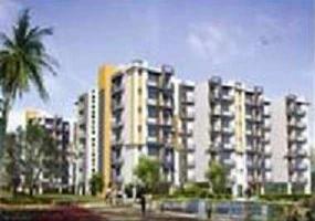 3 BHK Flat for Sale in Sector 20 Chandigarh