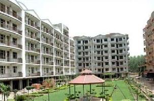 2 BHK Flat for Sale in Sector 20 Chandigarh