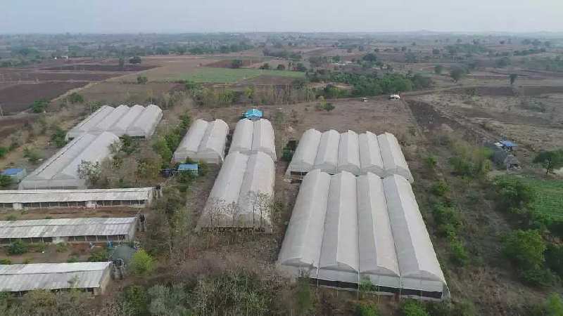 Agricultural Land 11 Acre for Sale in Vidya Nagar, Hubli