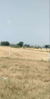  Industrial Land for Sale in Mundra, Kutch