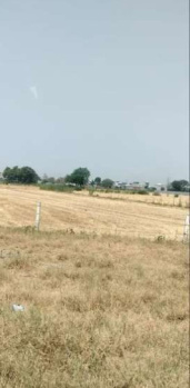  Industrial Land for Sale in Sarigam GIDC, Vapi