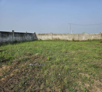  Industrial Land for Sale in Kalol GIDC, Vadodara