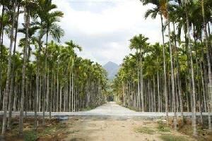  Residential Plot for Sale in Madhurawada, Visakhapatnam