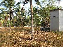  Residential Plot for Sale in East Kallada, Kollam