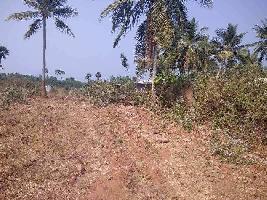  Agricultural Land for Sale in Anakapalle, Visakhapatnam