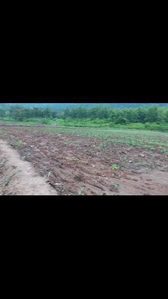 Agricultural Land 40 Acre for Sale in Chodavaram, Visakhapatnam