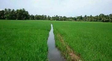  Agricultural Land for Sale in Vidya Nagar, Eluru