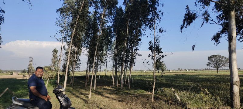  Commercial Land 750 Sq.ft. for Sale in Barwala, Panchkula