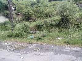  Commercial Land for Sale in Mehli, Shimla