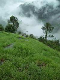  Commercial Land for Sale in Chail, Shimla