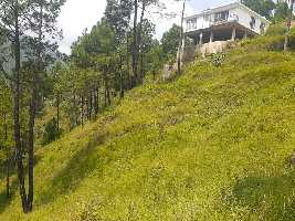  Agricultural Land for Sale in New Shimla