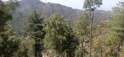  Commercial Land for Sale in Summer Hill, Shimla