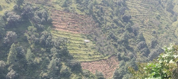  Agricultural Land for Sale in Kotkhai, Shimla