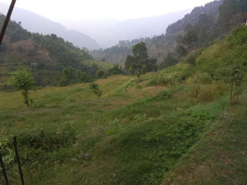  Commercial Land for Sale in Chuari Khas, Chamba