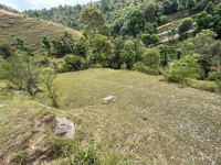  Commercial Land for Sale in Shoghi, Shimla