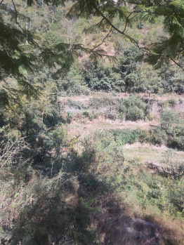  Commercial Land for Sale in Chail, Solan