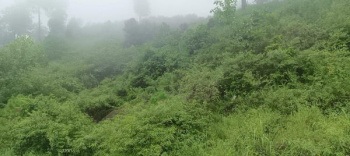  Commercial Land for Sale in New Shimla