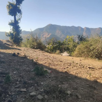  Residential Plot for Sale in Beolia, Shimla