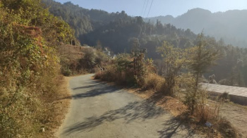  Residential Plot for Sale in Hira Nagar, Shimla