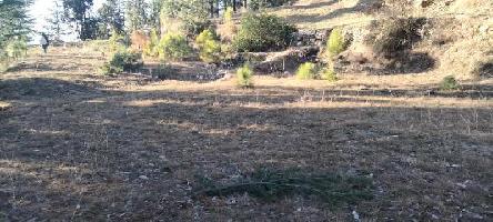  Agricultural Land for Sale in Mashobra, Shimla