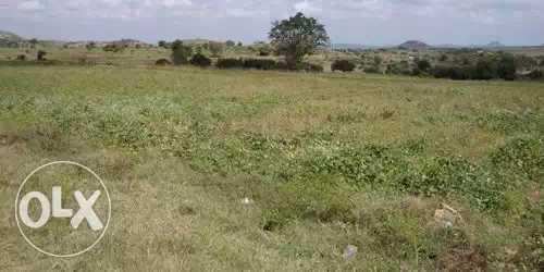 Agricultural Land 6050 Sq. Yards for Sale in Saraswatpur, Hubli