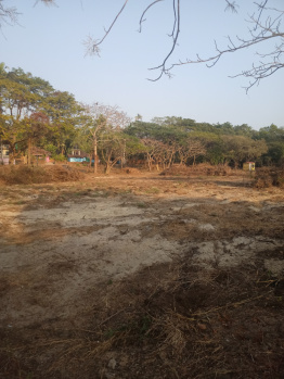  Commercial Land for Sale in Velsao, Goa