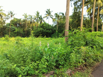  Residential Plot for Sale in Tivim, North Goa, 