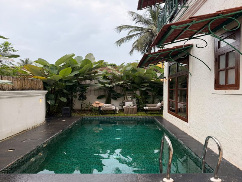 North Goa, Assagaon, Goa photo 3