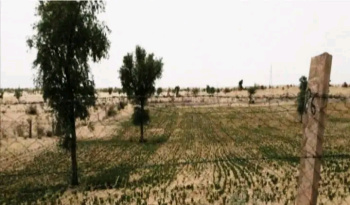  Agricultural Land for Sale in Sri Dungargarh, Bikaner